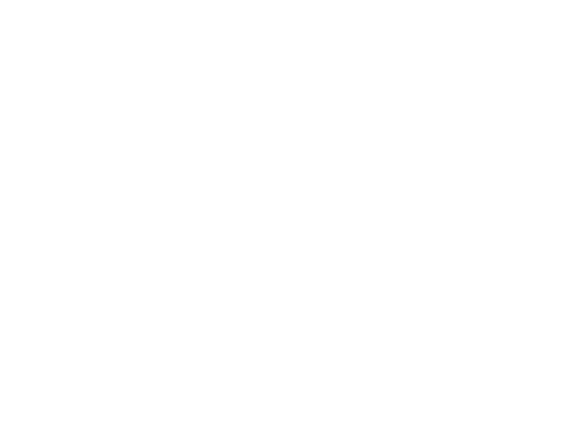 Visionary Studios logo